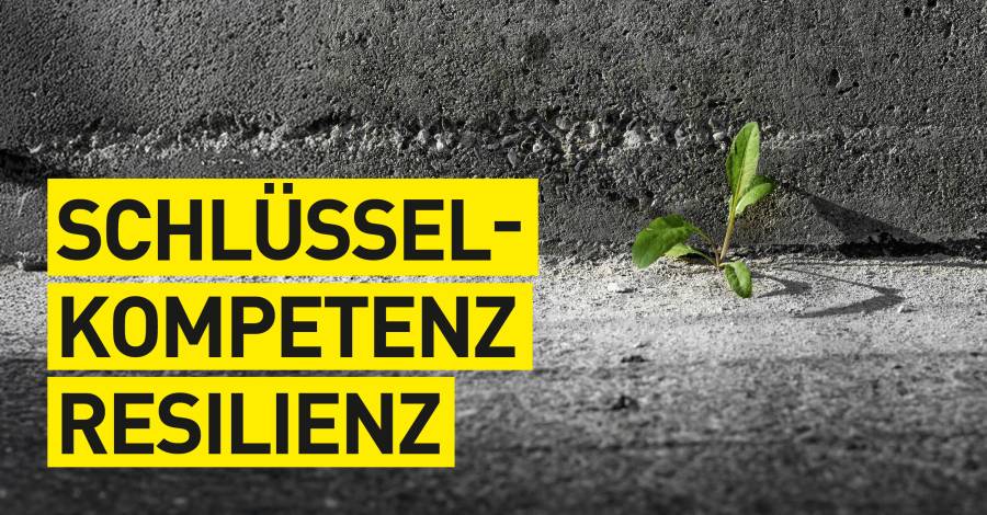 Pflanze wächst aus Mauer mit Schriftzug "Schlüsselkompetenz Resilienz"